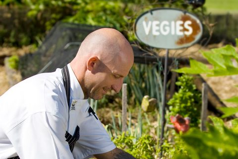 Tips for Summer Gardening