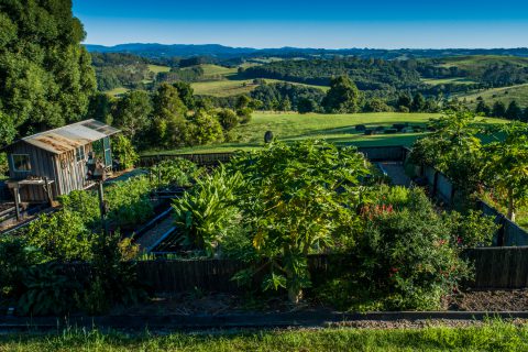 Organic Winter Gardening