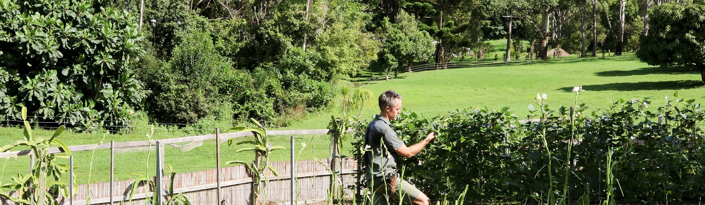 The Latest From Our Organic Gardens
