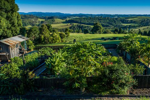 The Latest From Our Organic Gardens