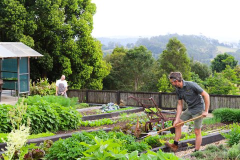 Summer Gardening With Cam