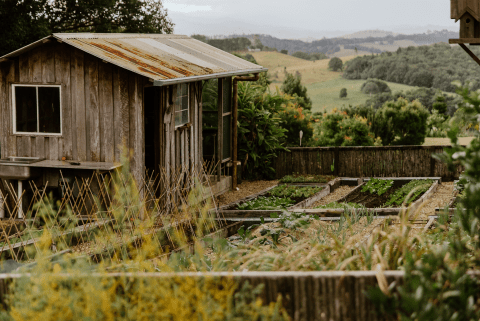 Winter in Gaia Retreat’s Garden…