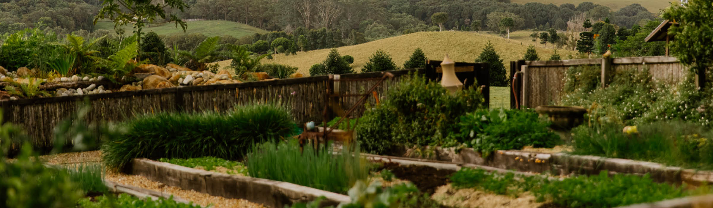 Winter in Gaia Retreat’s Garden…