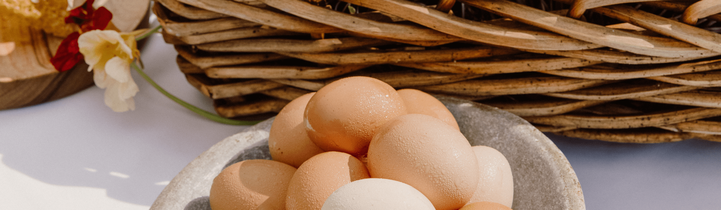 Spring Forage: From Our Own Hen Eggs to Perfectly Poached Delights