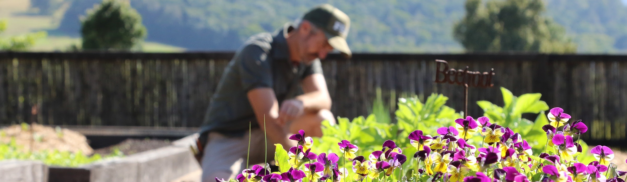 Organic Gardens in full bloom