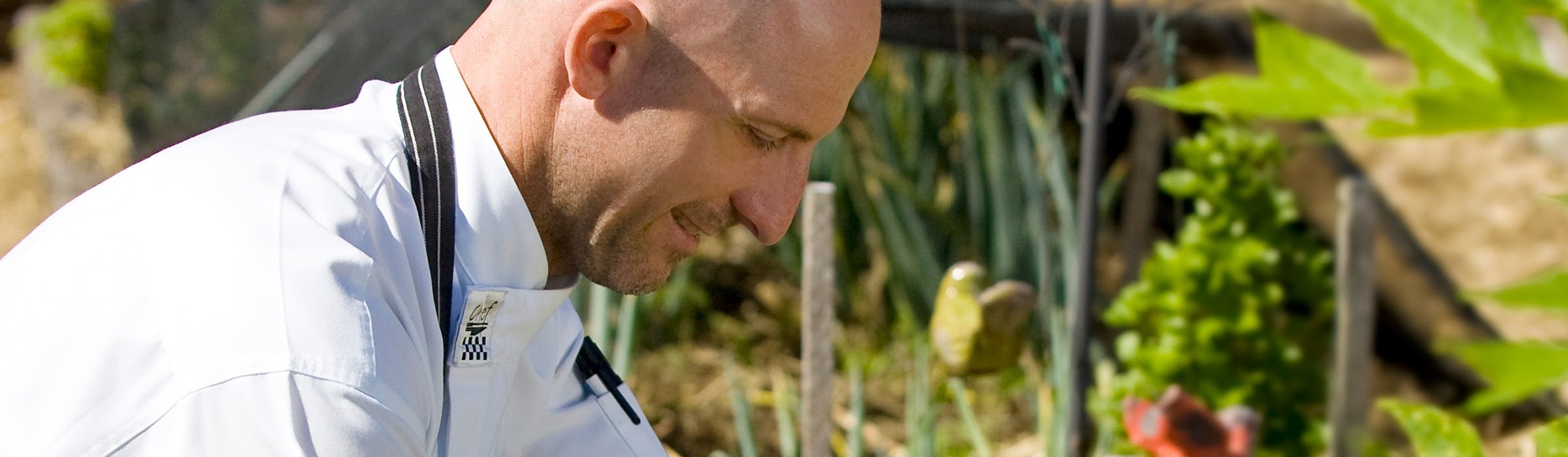 Tips for Summer Gardening