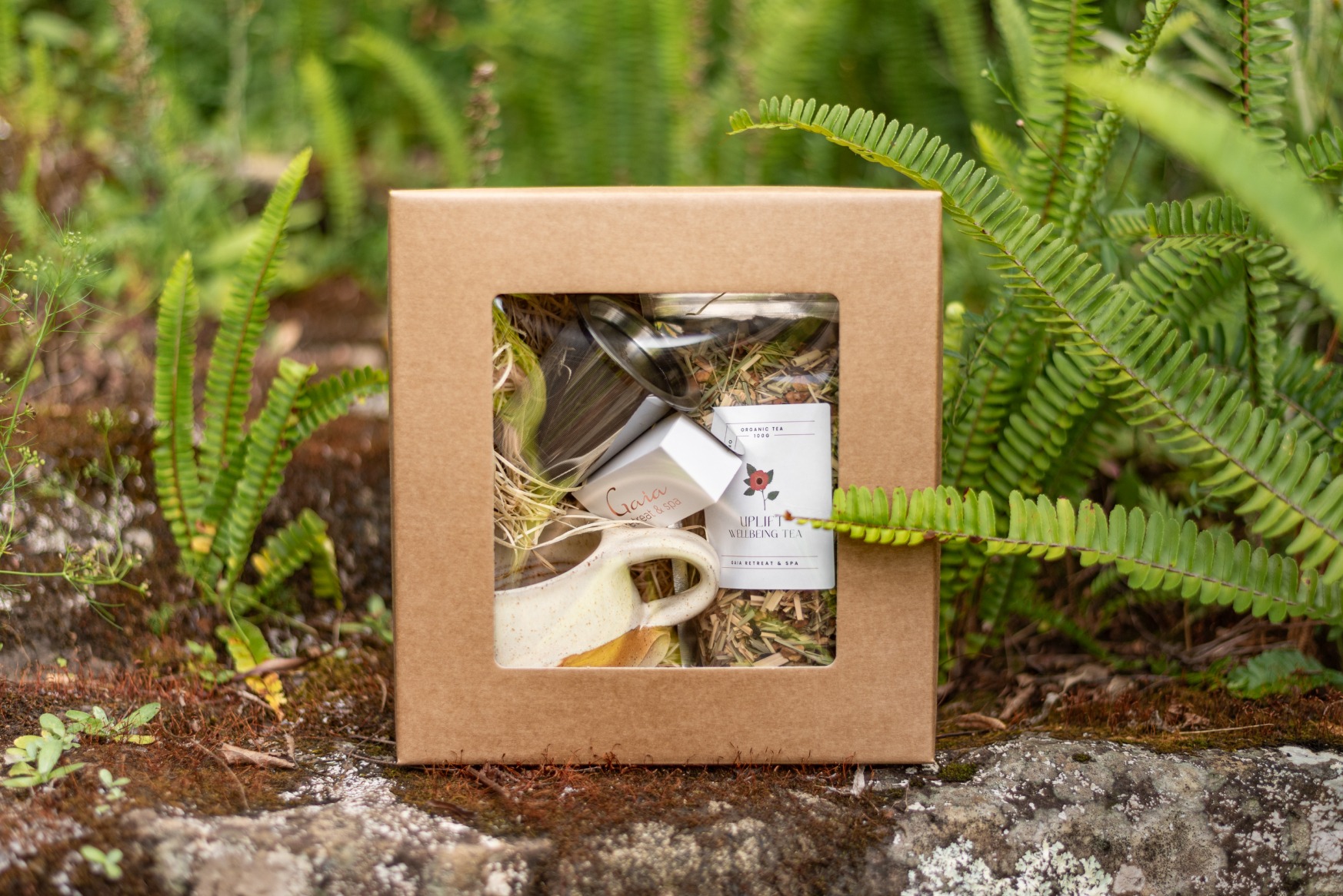 The Gaia Gift Guide