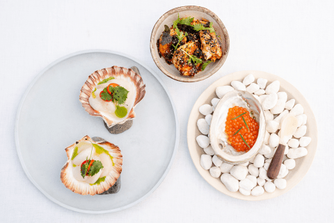 Gaia-Jess-Kearney-221107-17 1