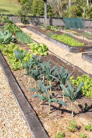 Sustainability at Gaia