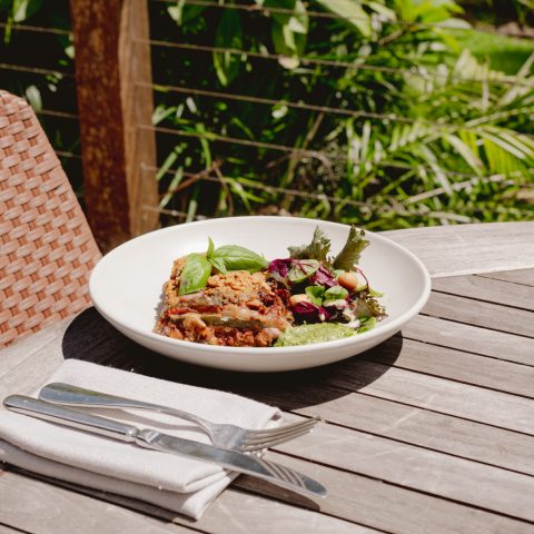 Vegetarian lasagna GF/DF