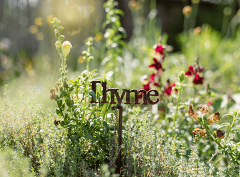Forage Season at Gaia