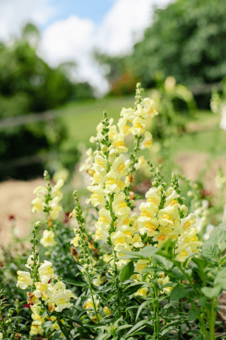 Sustainability at Gaia