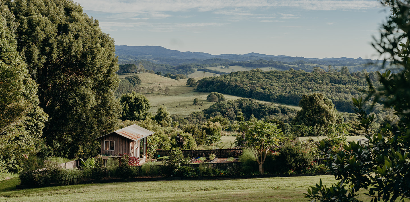 Spiced Chai Concentrate