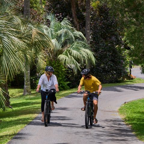 Mother’s Day at Gaia