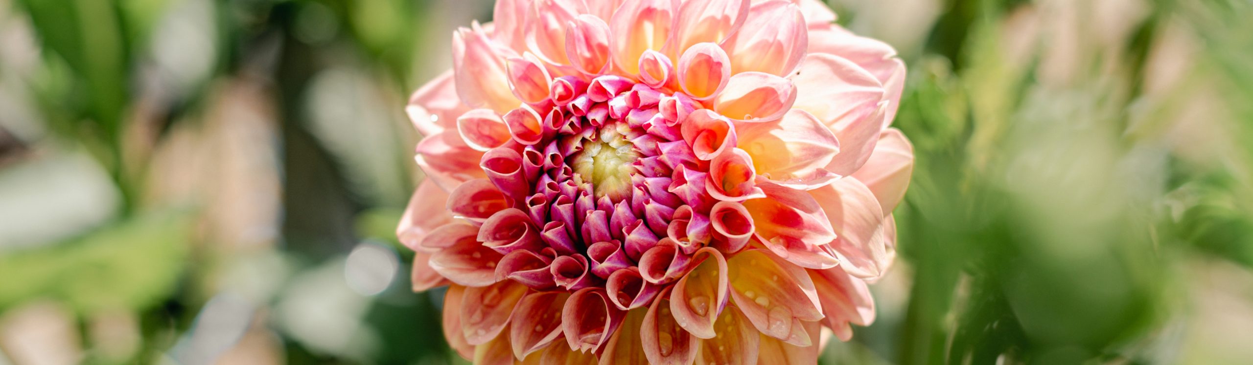 Sustainability at Gaia