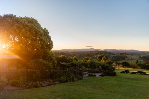 DSC_6929