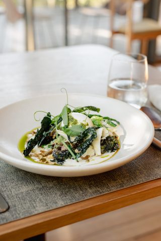 Poached Eggs with Greek Yoghurt & Winter Greens